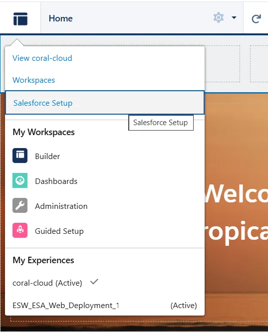 Salesforce Setup