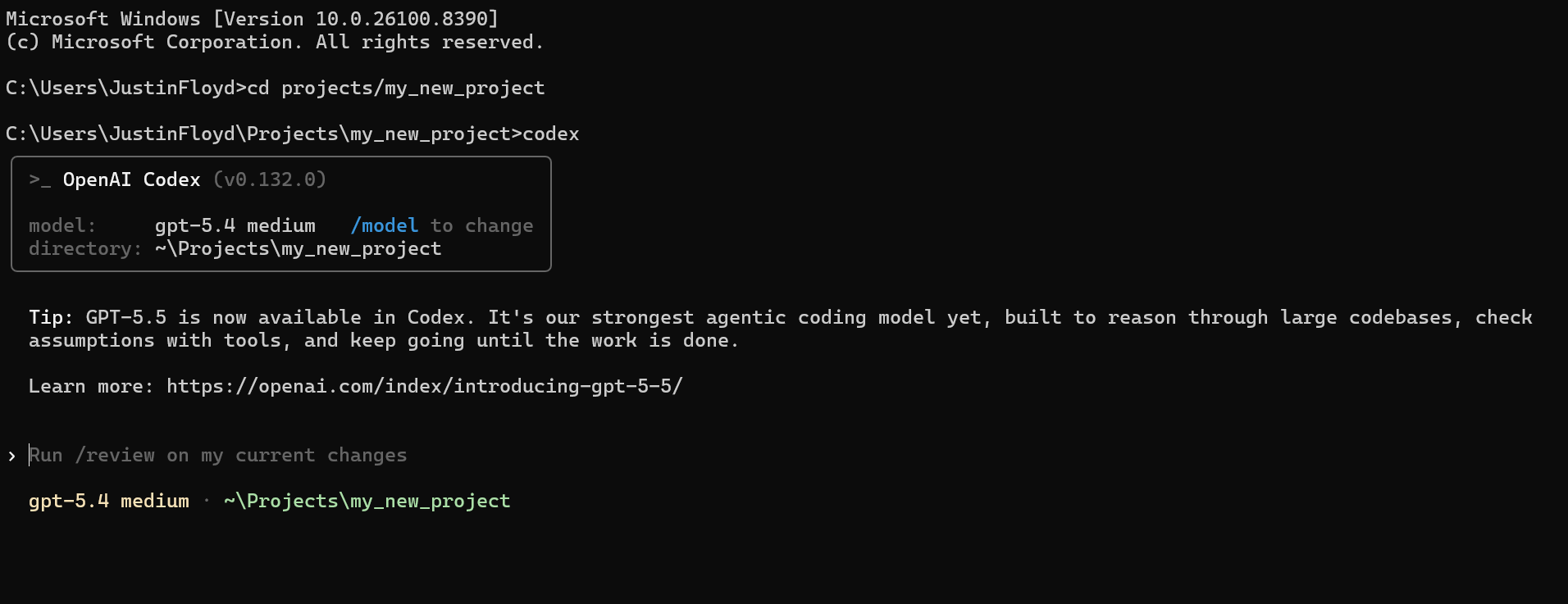 Start a Codex session