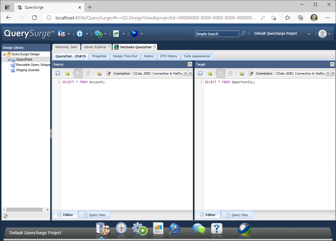 Setting the Connection URL and Test Query (NetSuite is shown)