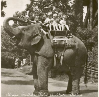 Bambina at Hällestadsstapeln in the 50s, Skansen Zoo in Stockholm.<br />The young rider at the elephants neck is Sven-Arne Borg, son to head elephantkeeper Sven Borg.