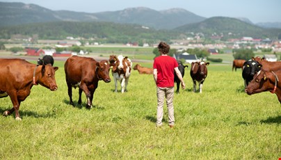 Link til artikkel Historisk høy investeringsvilje til ny biogassproduksjon