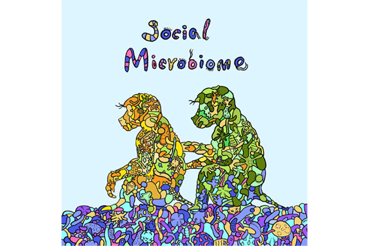 social-microbiome.jpg  