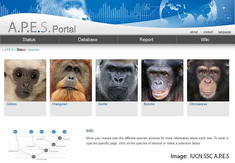 APES_database.jpg