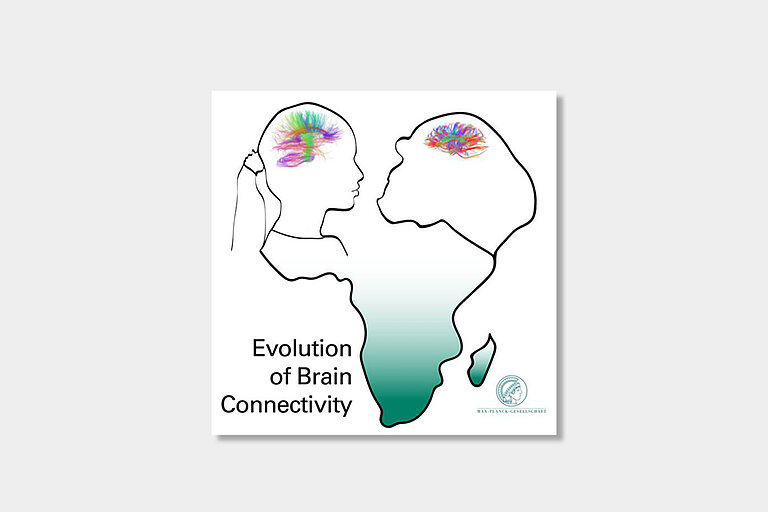 Evolution_of_Brain_Connectivity.jpg