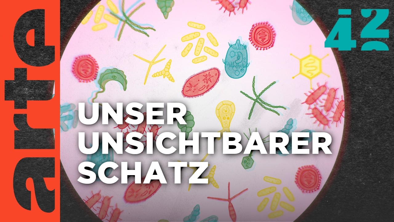 Beherrscht uns das Mikrobiom? | 42 - Die Antwort auf fast alles | ARTE