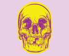 Colorful Skull