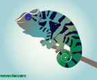 Chameleon Vector