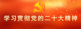 深入学习贯彻党的二十大精神链接