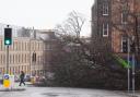 Storm Eowyn brought 100mph winds to much of Scotland