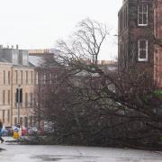 Storm Eowyn brought 100mph winds to much of Scotland