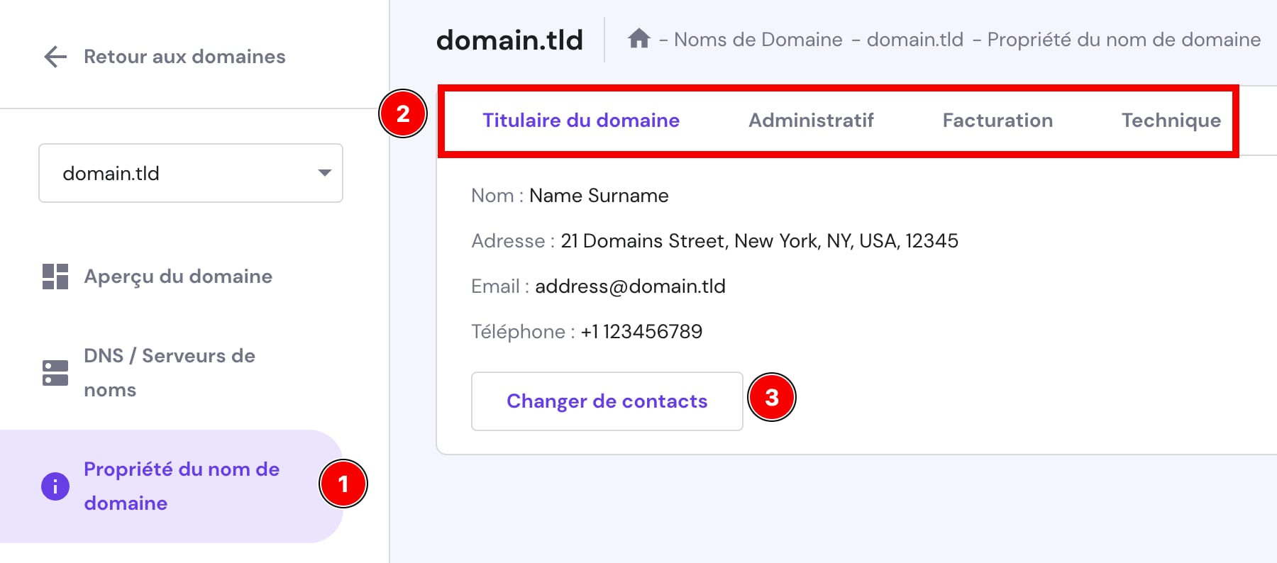 Hostinger domaines : onglet Titulaire du domaine sélectionné dans les coordonnées du domaine