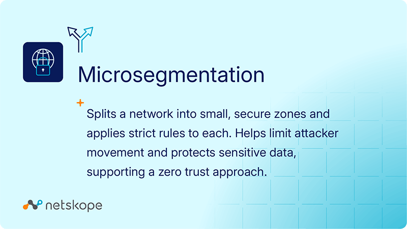 definition of microsegmentation