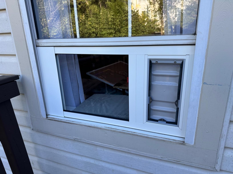 Liberty Custom pet door insert for sash windows, exterior view of the white-framed unit in the raised lower sash with a ribbed locking cover over the flap and beige vinyl lap siding behind.