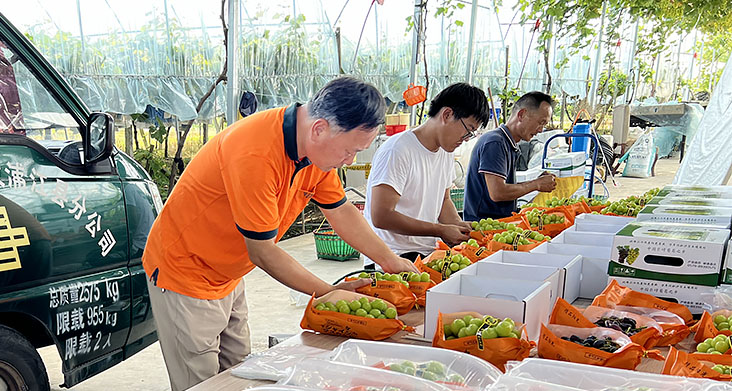 金秋时节喜迎丰收 快递助农增收致富