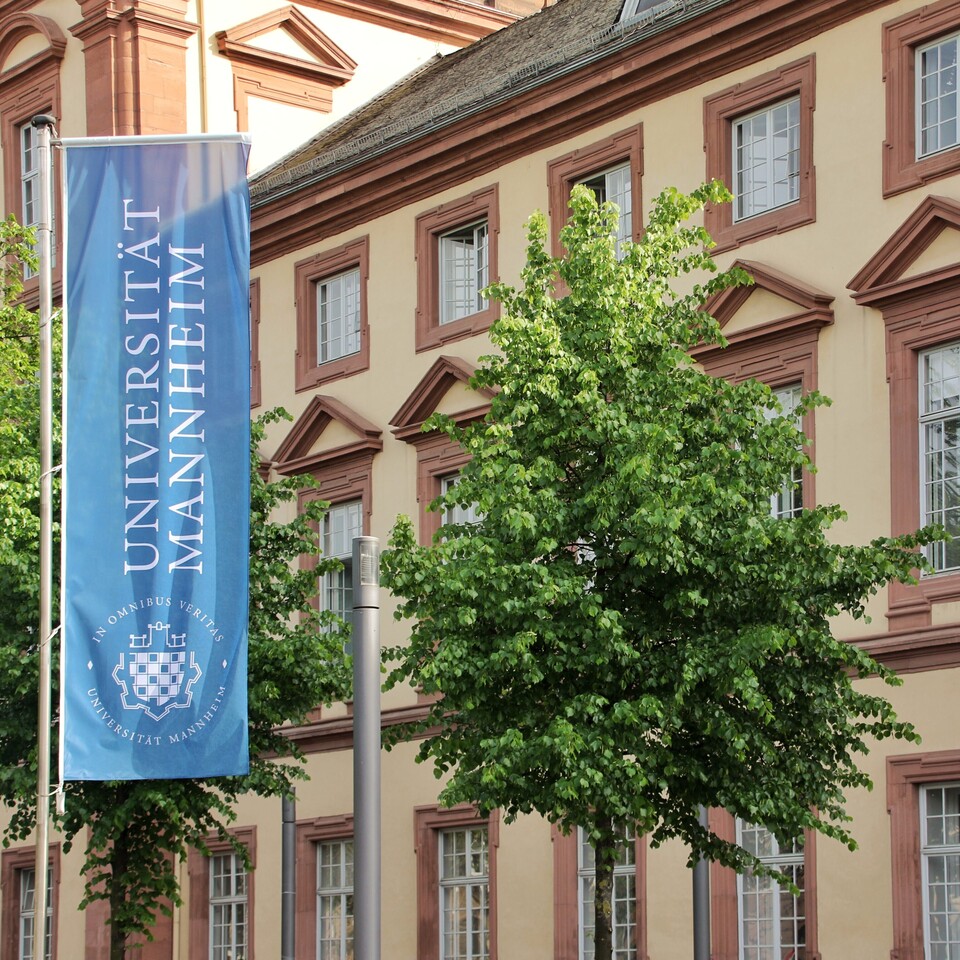 Fahne und Baum vor dem Schloss