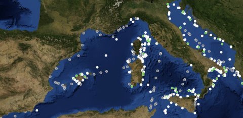 Mappa e rilevamenti