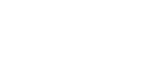 Head of Global Customer Experience Excellence and Business Steering, Boehringer Ingelheim