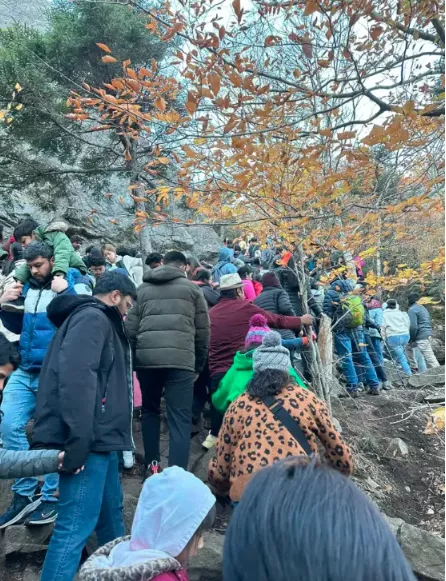 没想到 中国国庆人从众的场景 竟然出现在美国…