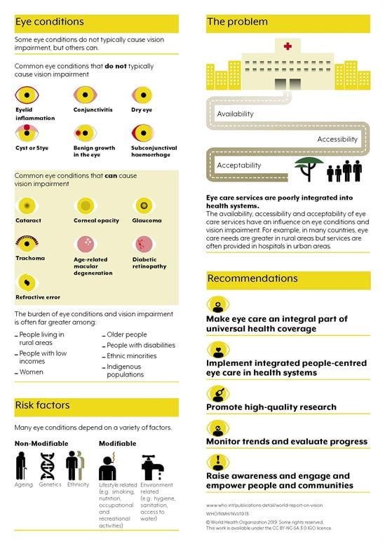 World report on vision infographic page_2