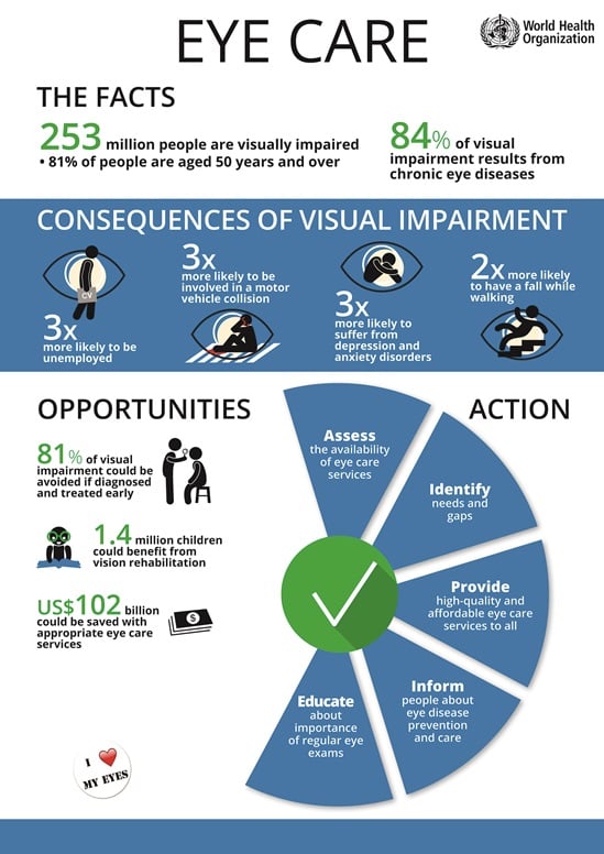 A diagram showing different types of visual impairment