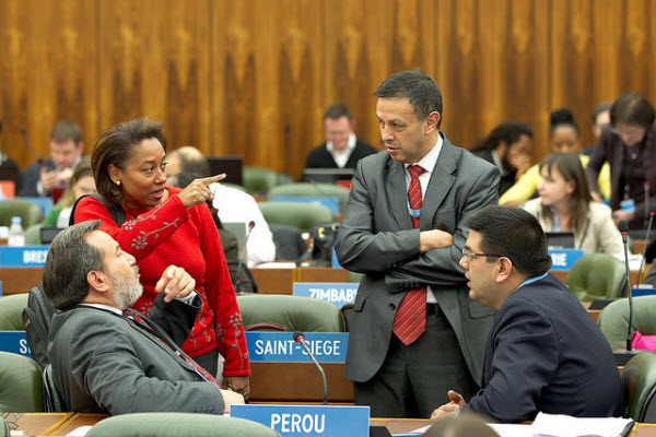 Delegates in discussions at the Intergovernmental Committee on Intellectual Property and Genetic Resources, Traditional Knowledge and Folklore