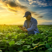 Farmer using tablet and DAT in an agriculture field