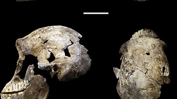 Homo Naledi