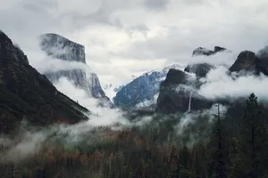 Shroud of mystery, the fog softly embraces all it sees.