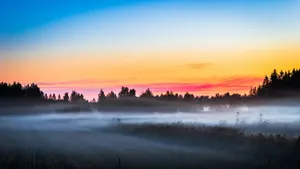 A Sunny Day Shrouded in Fog