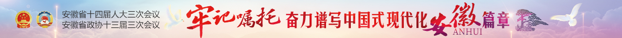 2025年安徽省两会