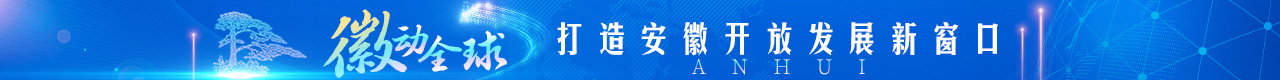 徽动全球 打造安徽开放发展新窗口