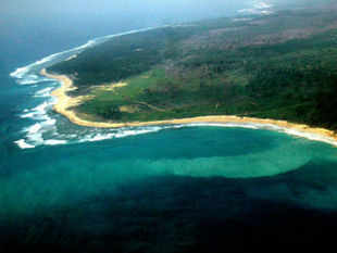 The islands have no native herbivores except for wild pig, which is omnivorous while elephants were brought over from mainland India in the 1880s.