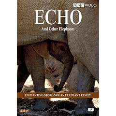 Echo and her elephant family stampede onto DVD in this spectacular two-disc set! Echo is extremely wise an experienced mother and commanding matriarch of her family. Shes also an African elephant and arguably one of the most famous elephants in the world