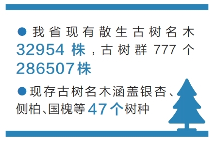 河南省《古树名木保育技术规程》正式实施
