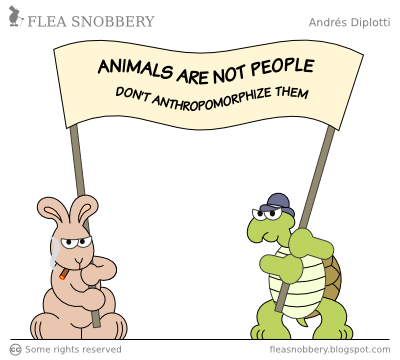 Animals