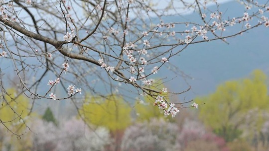 惊蛰节气 注意防春困和春燥