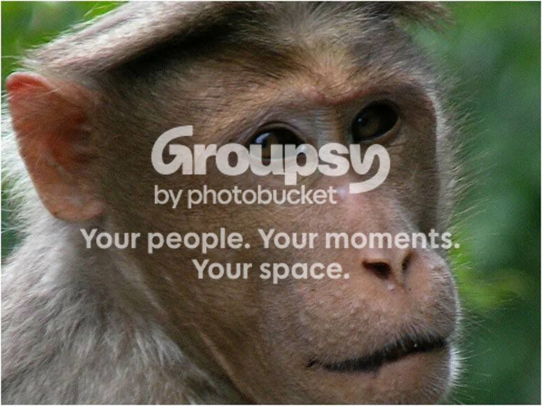 Photobucket - Video and Image Hosting
