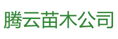 興城市騰云苗木培育中心