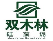 双木林硅藻泥