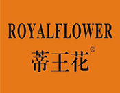 蒂王花女装