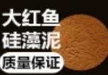 大红鱼硅藻泥