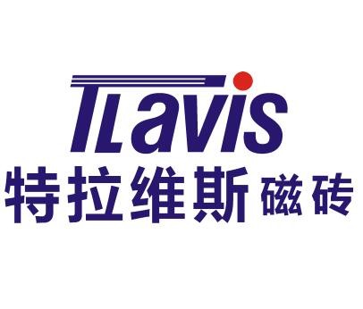 特拉维斯磁砖