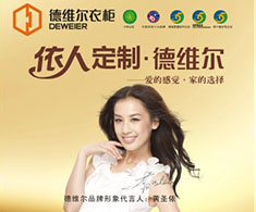 德维尔衣柜