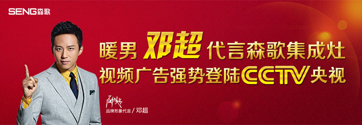 森歌集成灶