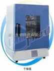 上海一恒干燥箱DHG-9031A自然对流