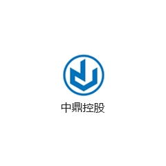中鼎控股