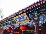 志愿填报接受父母安排却以“留级”为代价