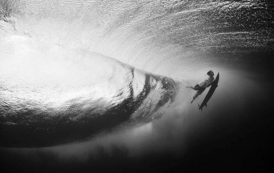 Nov 28 11 Inspiration / Things We Love — No comments MIKOH INSPIRATION | DUCK DIVE
