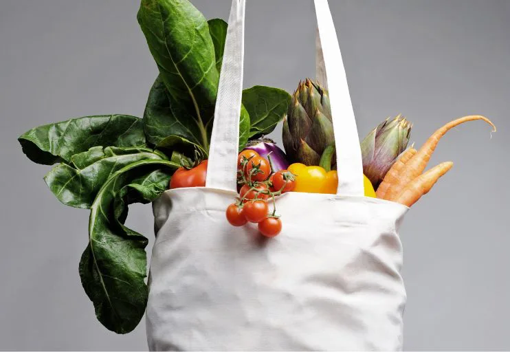 bag of groceries