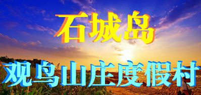 ʯ�ǵ�����ɽׯ�ȼٴ�